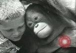 Standbild Brookfield Zoo Chicago Illinois USA, 1956, aus Sekunde 56 historischem Filmmaterial Videoclip 65675064622