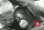 Standbild Brookfield Zoo Chicago Illinois USA, 1956, aus Sekunde 57 historischem Filmmaterial Videoclip 65675064622