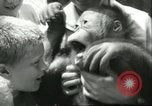 Standbild Brookfield Zoo Chicago Illinois USA, 1956, aus Sekunde 61 historischem Filmmaterial Videoclip 65675064622