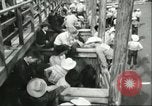 Standbild Teenager Rodeo Wettbewerb Oregon United States USA, 1956, aus Sekunde 8 historischem Filmmaterial Videoclip 65675064624
