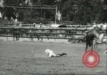 Immagine di Xiii annuale della Elk Rodeo Santa Maria California USA, 1956, secondo 7 filmato di repertorio 65675064629