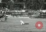 Immagine di Xiii annuale della Elk Rodeo Santa Maria California USA, 1956, secondo 9 filmato di repertorio 65675064629