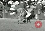 Immagine di Xiii annuale della Elk Rodeo Santa Maria California USA, 1956, secondo 47 filmato di repertorio 65675064629