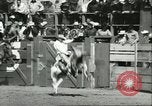 Immagine di Xiii annuale della Elk Rodeo Santa Maria California USA, 1956, secondo 52 filmato di repertorio 65675064629