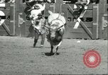 Immagine di Xiii annuale della Elk Rodeo Santa Maria California USA, 1956, secondo 60 filmato di repertorio 65675064629