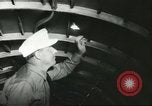 Standbild Ungarische Schüler entführten Flugzeug Deutschland, 1956, aus Sekunde 29 historischem Filmmaterial Videoclip 65675064630