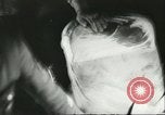 Standbild Ungarische Schüler entführten Flugzeug Deutschland, 1956, aus Sekunde 38 historischem Filmmaterial Videoclip 65675064630