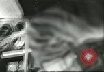 Standbild Ungarische Schüler entführten Flugzeug Deutschland, 1956, aus Sekunde 39 historischem Filmmaterial Videoclip 65675064630