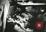 Standbild Ungarische Schüler entführten Flugzeug Deutschland, 1956, aus Sekunde 41 historischem Filmmaterial Videoclip 65675064630