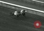 Standbild Monmouth Handicap Rennen Oceanport New Jersey USA, 1956, aus Sekunde 12 historischem Filmmaterial Videoclip 65675064634