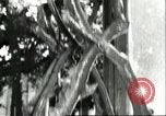 Image of water clock Italy, 1956, second 10 stock footage video 65675064644