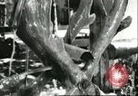 Image of water clock Italy, 1956, second 11 stock footage video 65675064644