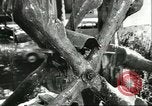 Image of water clock Italy, 1956, second 12 stock footage video 65675064644