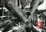 Image of water clock Italy, 1956, second 13 stock footage video 65675064644