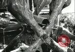 Image of water clock Italy, 1956, second 14 stock footage video 65675064644