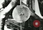 Image of water clock Italy, 1956, second 21 stock footage video 65675064644