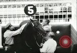 Image Sunset Handicap Race Inglewood California USA, 1956, de la seconde 7 séquences d'archives historiques vidéo 65675064646