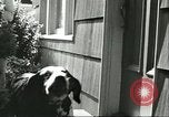 Image American Humane Association Seattle Washington USA, 1956, de la seconde 7 séquences d'archives historiques vidéo 65675064651
