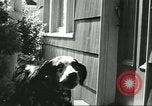 Image American Humane Association Seattle Washington USA, 1956, de la seconde 8 séquences d'archives historiques vidéo 65675064651
