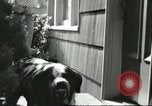 Image American Humane Association Seattle Washington USA, 1956, de la seconde 9 séquences d'archives historiques vidéo 65675064651