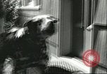 Image American Humane Association Seattle Washington USA, 1956, de la seconde 10 séquences d'archives historiques vidéo 65675064651