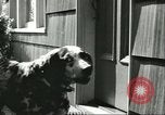 Image American Humane Association Seattle Washington USA, 1956, de la seconde 11 séquences d'archives historiques vidéo 65675064651