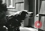 Image American Humane Association Seattle Washington USA, 1956, de la seconde 13 séquences d'archives historiques vidéo 65675064651