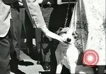 Image American Humane Association Seattle Washington USA, 1956, de la seconde 28 séquences d'archives historiques vidéo 65675064651
