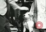 Image American Humane Association Seattle Washington USA, 1956, de la seconde 36 séquences d'archives historiques vidéo 65675064651
