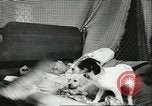 Image American Humane Association Seattle Washington USA, 1956, de la seconde 58 séquences d'archives historiques vidéo 65675064651