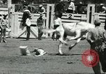 Standbild 8 National High School Meisterschafts Rodeo Reno Nevada USA, 1956, aus Sekunde 53 historischem Filmmaterial Videoclip 65675064652