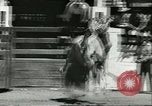 Standbild 8 National High School Meisterschafts Rodeo Reno Nevada USA, 1956, aus Sekunde 56 historischem Filmmaterial Videoclip 65675064652