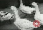 Image of Hungarians battle against Russians Budapest Hungary, 1956, second 48 stock footage video 65675064659
