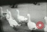 Image of Hungarians battle against Russians Budapest Hungary, 1956, second 49 stock footage video 65675064659