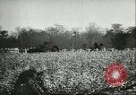 Image of Hungarians battle against Russians Budapest Hungary, 1956, second 54 stock footage video 65675064659