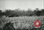 Image of Hungarians battle against Russians Budapest Hungary, 1956, second 55 stock footage video 65675064659