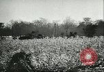 Image of Hungarians battle against Russians Budapest Hungary, 1956, second 56 stock footage video 65675064659