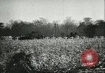 Image of Hungarians battle against Russians Budapest Hungary, 1956, second 58 stock footage video 65675064659