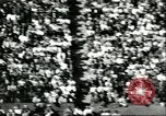 Standbild Fußballspiel California United States USA, 1956, aus Sekunde 37 historischem Filmmaterial Videoclip 65675064663