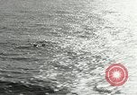 Standbild Air rescue United States USA, 1956, aus Sekunde 20 historischem Filmmaterial Videoclip 65675064678