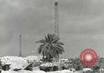 Immagine di Le truppe europee Egitto, 1956, secondo 34 filmato di repertorio 65675064688