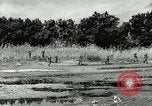 Image of European troops Egypt, 1956, second 6 stock footage video 65675064689