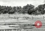 Image of European troops Egypt, 1956, second 8 stock footage video 65675064689
