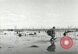 Image of European troops Egypt, 1956, second 10 stock footage video 65675064689