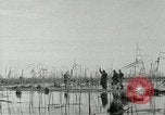 Image of European troops Egypt, 1956, second 23 stock footage video 65675064689