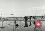 Image of European troops Egypt, 1956, second 28 stock footage video 65675064689