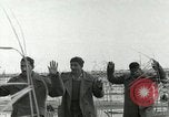 Image of European troops Egypt, 1956, second 33 stock footage video 65675064689