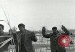 Image of European troops Egypt, 1956, second 34 stock footage video 65675064689