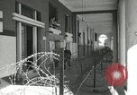 Image of European troops Egypt, 1956, second 20 stock footage video 65675064690