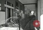 Image of European troops Egypt, 1956, second 21 stock footage video 65675064690